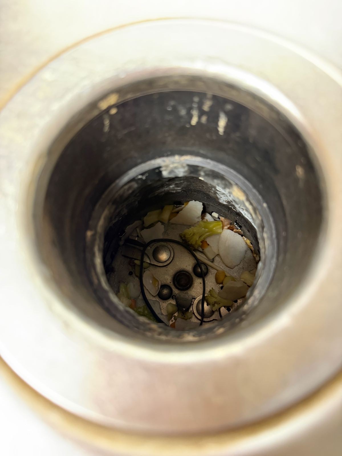 Food scraps and eggshells in the kitchen sink garbage disposal